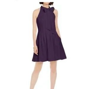 Elegant Purple Women's Dress